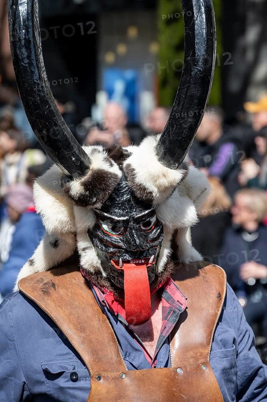 Participants dressed up as jesters from the guest canton of Schwyz, jesters' symposium of the Märchler carnival societies, parade of historically costumed guildsmen, Sechseläuten or Sächsilüüte, Zurich Spring Festival, Zurich, Switzerland