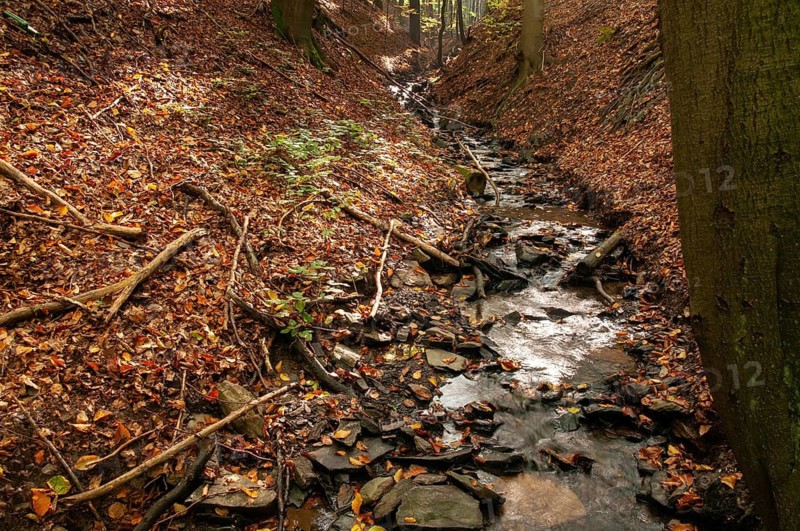 Buchenberg, Germany, Greiz, Thuringia, stream, brook, rivers, landscape, landscape, Vogtland