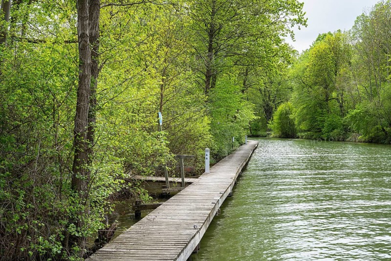 Empty pier on the Bolter Canal, deciduous forest, spring, Müritz National Park, Mecklenburg Lake District, Mecklenburg-Western Pomerania, Germany