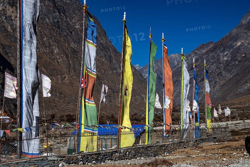 Buddhist, Tibetan prayer flags, Tsum Valley, Himalayas, Nepal