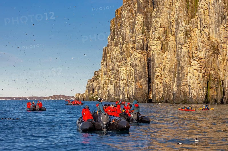 Eco-tourists in boats watch thick-billed murres, Brünnich's guillemots (Uria lomvia) nesting at Alkefjellet, Hinlopen Strait, Svalbard, Spitsbergen