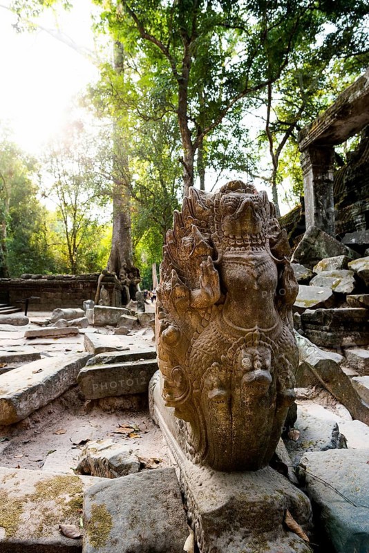 Ta Prohm, Angkor Wat, Angkor, UNESCO World Heritage Site, Siem Reap, Cambodia, Indochina, Southeast Asia