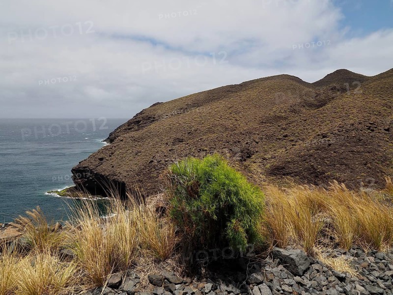Dry landscape with steep coasts and dry vegetation, slightly cloudy sky, La Aldea de San Nicolas, Gran Canaria, Spain