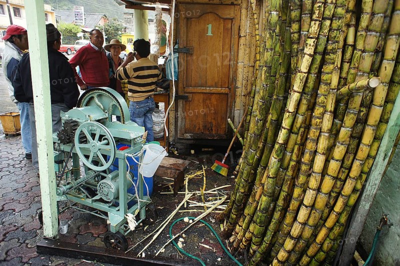 Men stand around a traditional juicer for sugar cane juice (saccharum officinarum) in a marketplace surrounded by sugar cane, Ecuador