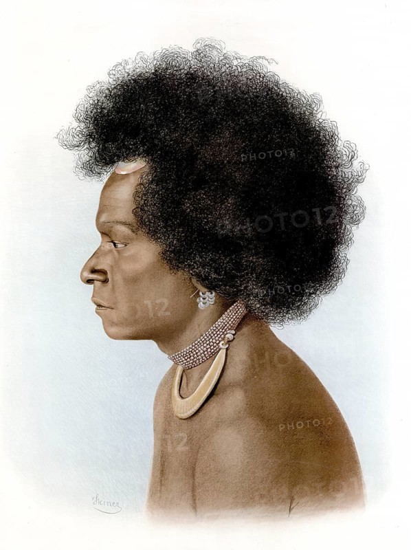 Lithograph of a person from Melanesia, Oceania, around 1900. Distinctive, large Afro hairstyle, traditional necklace, a multi-strand pearl necklace combined with a large, sickle-shaped decorative element, as well as earrings and headdresses, school picture, illustration, reproduction from a model from the 19th century. School picture, mural, authentic, file restored for optimal use, exact date of original unknown, historical
