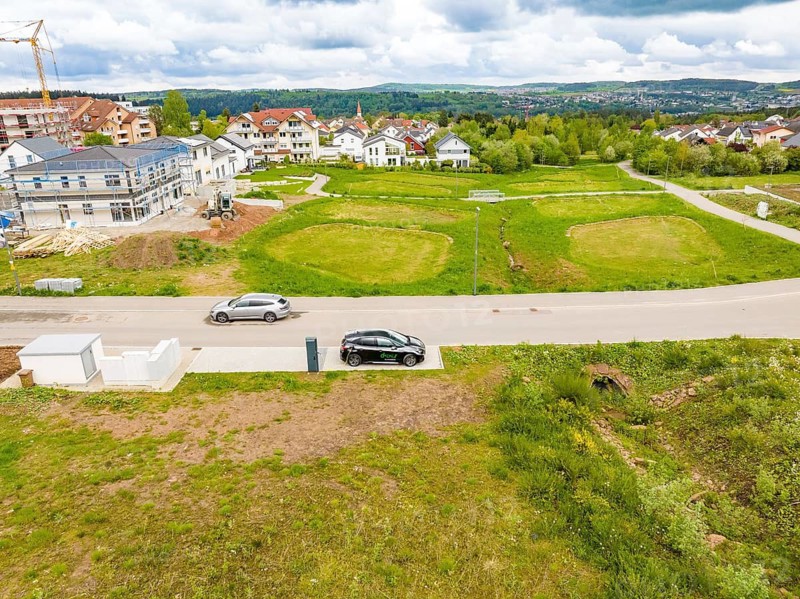 Street scene in a residential area with parked cars and surrounding greenery, Deer charging stations, Calw, Germany