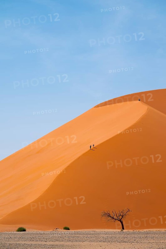 Dune 45, Large Red Sand Dune in the Namib Desert, Namib Naukluft Park, Namibia
