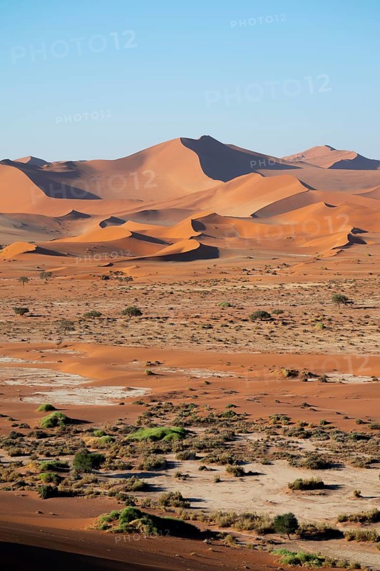 Red yellow sand dunes and white salt pans of the Namib, Namib Desert, Namib-Naukluft National Park, Namibia