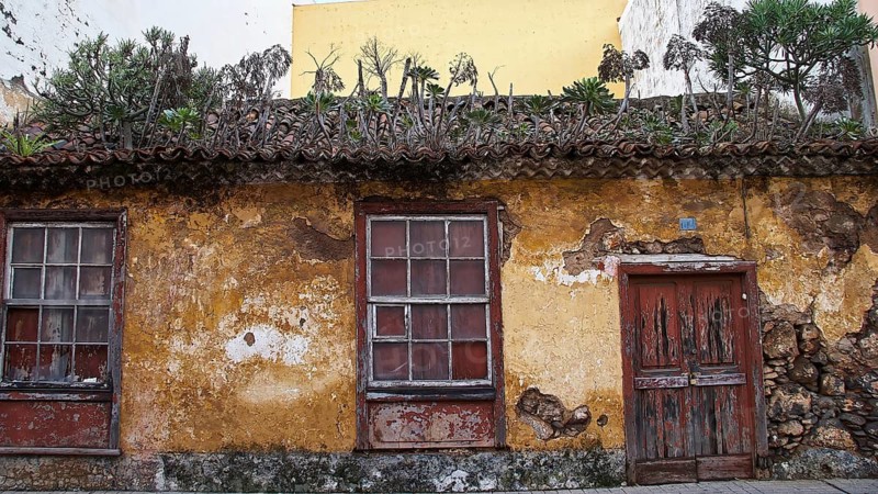 Dilapidated building with antique charm, yellow wall and weathered window and door, plants growing on the roof, UNESCO World Heritage Site, old town of San Cristobal de La Laguna, La Laguna, Tenerife, Canary Islands, Spain