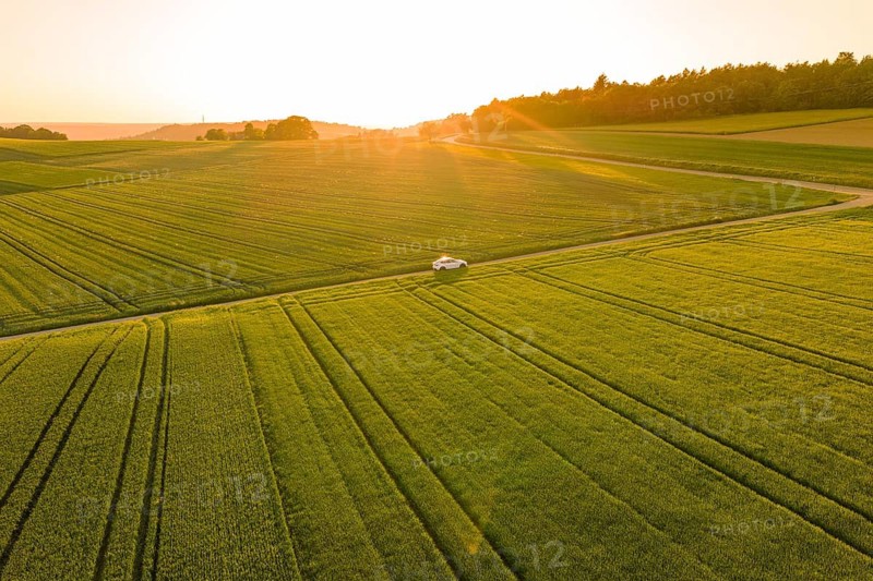 Wide green fields crossed by a road with a small white car at sunset, Tesla Model Y, Gechingen, Calw district, Germany