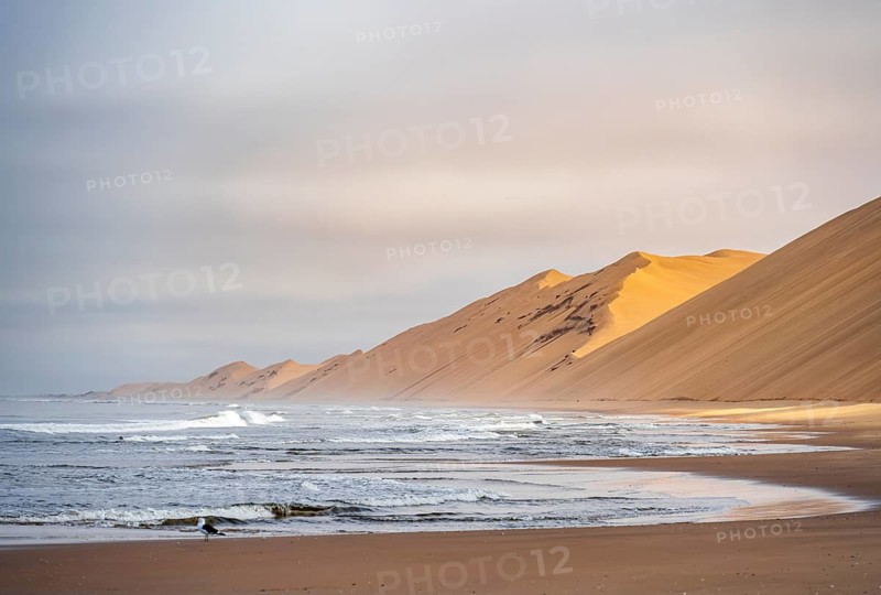 Atlantic coast with high sand dunes, Namib desert and sea, desert landscape, Namib Naukluft Park, Namibia