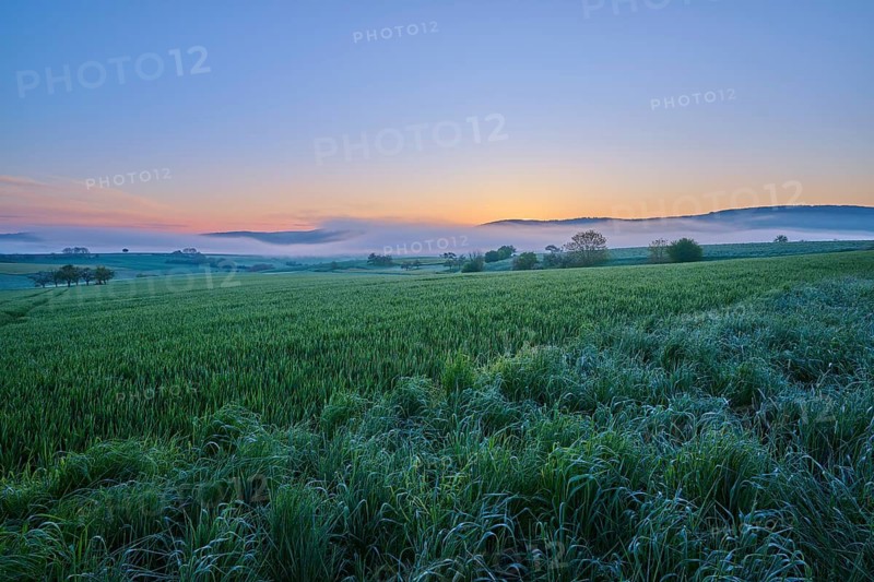 Dawn over a wide field with rolling hills in the background and a calm blue sky, Mönchberg, Miltenberg, Spessart, Lower Franconia, Bavaria, Germany
