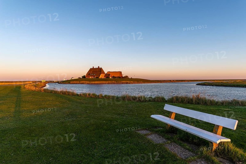 Kirchwarft with pastor and church on Hallig Hooge in the Schleswig-Holstein Wadden Sea National Park, Halligen biosphere, evening mood, priel, salt marshes, bench, thatched roof, North Frisia, Schleswig-Holstein, Germany
