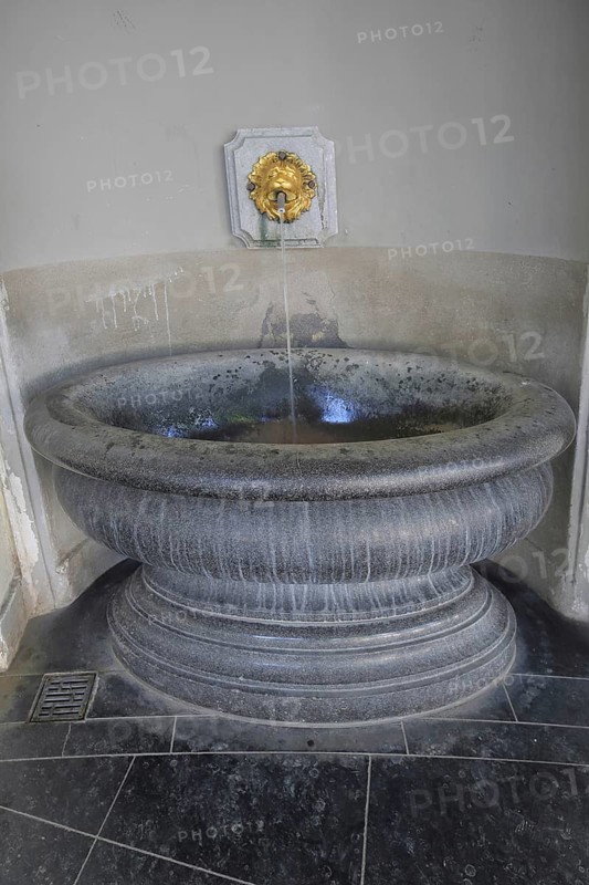 Kaiserquelle and mineral spring as drinking fountain, drinking water, thermal spring, lion figure, water basin, porch, Elisenbrunnen, Friedrich-Wilhelm-Platz, old town, Aachen, Eifel, North Rhine-Westphalia, Germany
