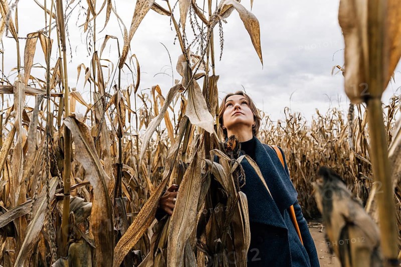 Woman in autumn in cornfield standing with her head up, looking at the sky