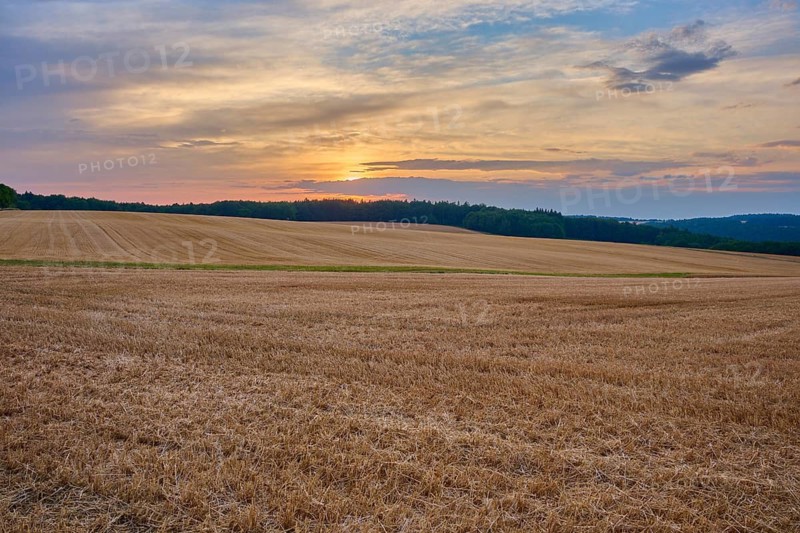 Quiet evening landscape of a stubble field with sunset, summer, Neudorf, Amorbach, Odenwald, Bavaria, Germany