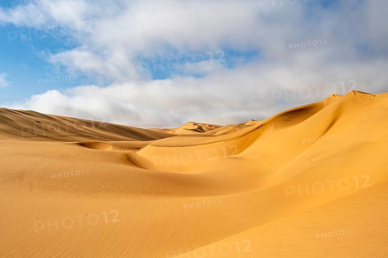 Sand dunes, sea of dunes, sandy desert, impressive desert landscape, Namib Naukluft Park, Namib desert, Namibia