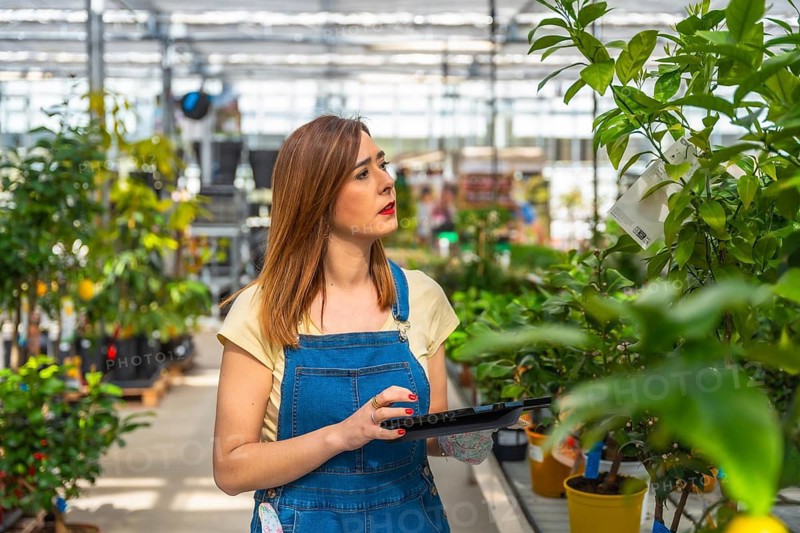 Female professional gardener working in a plant nursery, checking inventory and managing tasks on a digital tablet while observing the lush green plants
