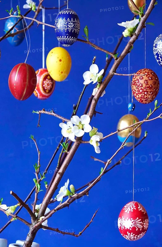 Easter, Easter bouquet with colorful Easter eggs, branches with flowers of an ornamental quince, spring, Germany