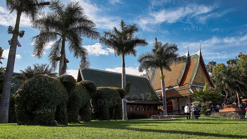 A well-kept garden with temple buildings and palm trees under a blue sky, Loro Parque, Puerto de la Cruz, Tenerife, Canary Islands, Spain