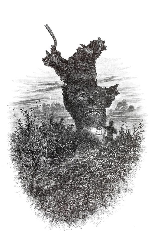 Distinctive trees, natural monument, 19th century illustration depicting the famous monkey tree, in Burnham Beeches, night scene in which a man stands in front of a massive, gnarled tree trunk. The formation of the tree is strongly reminiscent of the face of an ape or an eerie creature, England, illustration, reproduction from a model from the 19th century. Authentic, file restored for optimal use, exact date of submission unknown, historical