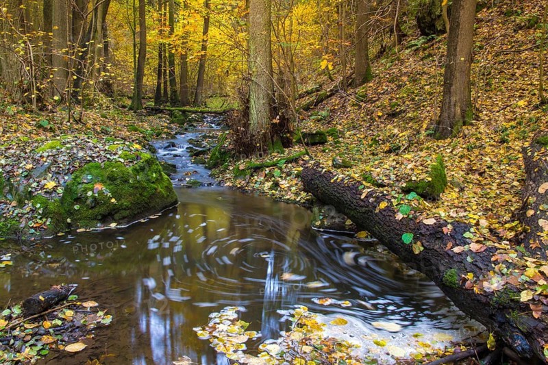 Germany, Saxony, Autumn, Bach, Elstertal, Rivers, Autumn, Kaltenbach, Landscape, Landscape, Vogtland
