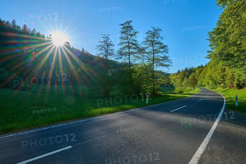 Morning light floods a country road surrounded by trees and nature, fellen, Ruppertshütten, Main-Spessart district, Mainfranken, Lower Franconia, Bavaria, Germany