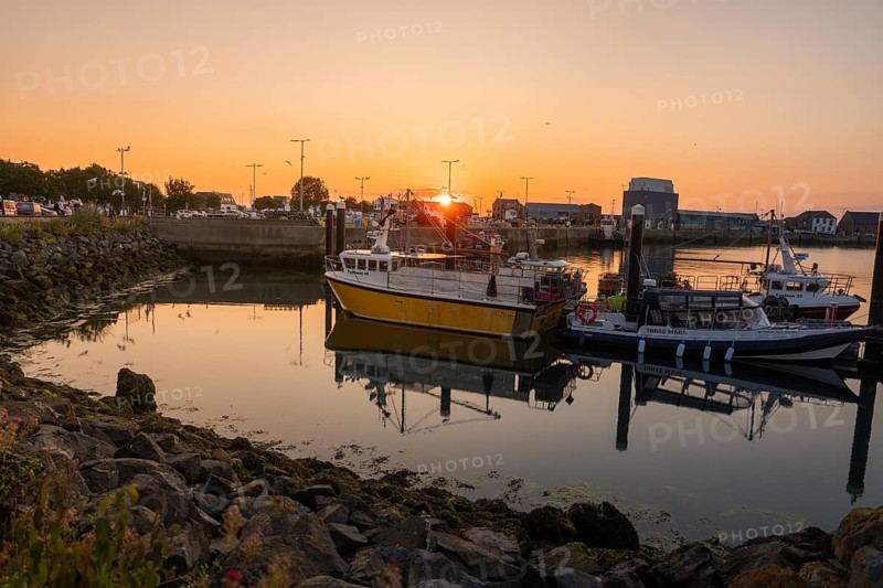 Harbour with fishing boats and rocks, sunset creates a relaxed atmosphere, Howth, Ireland
