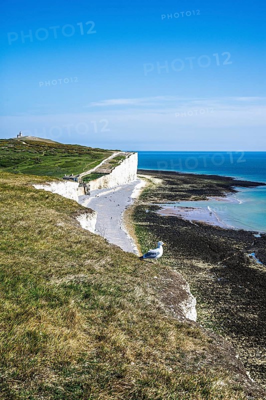 Seven Sisters Cliffs, English Channel, East Sussex, South-east England