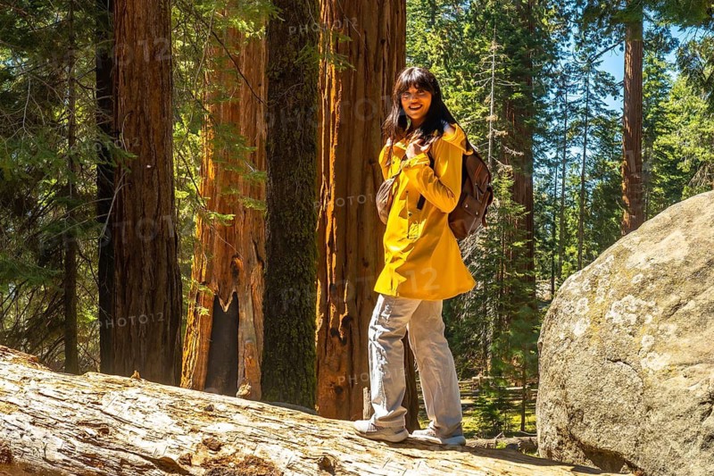 Young woman with a backpack and yellow jacket walking on a fallen log, exploring the majestic giant sequoia trees of sequoia national park in california