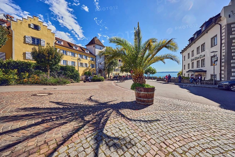Planter with palm tree, shade of a palm tree, historic buildings, windows, shutters, staggered gables, trees, flower bed, square, road, asphalt and paving stones, back light, side light, blue sky, cumulus clouds, confluence of Steigstraße and Unterstadtstraße in Bismarckplatz, Meersburg, Lake Constance, Baden-Württemberg, Germany