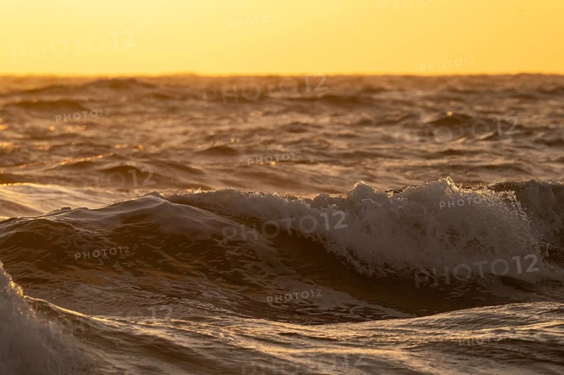 Breaking wave in evening light, surf, Houvig Beach, North Sea, Denmark
