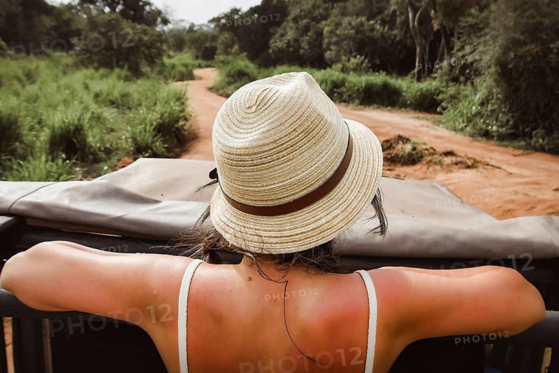 Tourist woman in safari tour vehicle watching searching wild Asian elephants in grassland wildlife encounter travel adventure nature concept