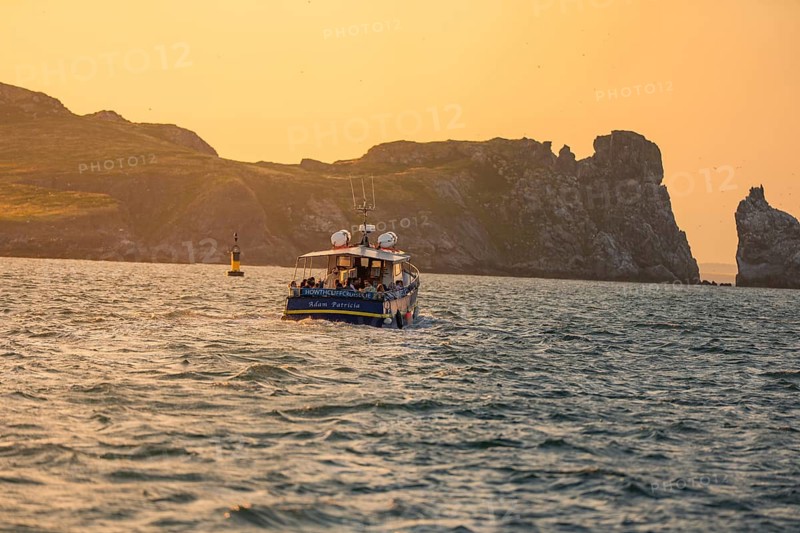 Boat glides across the sea in evening light, accompanied by impressive cliffs, Howth, Ireland