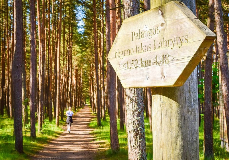 Woman runner run on famous running trail in pine forest in Palanga holiday summer resort. Lithuania