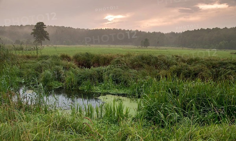 Barnim, Brandenburg, FFH area, Finow Valley, Finowtal-Pregnitzfließ, Germany, Natura 2000, Barnim nature park Park, Landscape, Nature Reserve, Nature Reserve, Summer, Sunset
