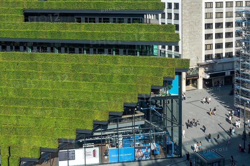 Green façade, made of over 30, 000 hornbeams, a good 8 kilometers long hedge, on the roof and the façade of the Kö-Bogen-2 house form the largest green façade in Europe, the plants prevent the façade from heating up and cool the environment by evaporating moisture, through the plants, improving the microclimate in summer, Schadowstraße, Düsseldorf, North Rhine-Westphalia, Germany