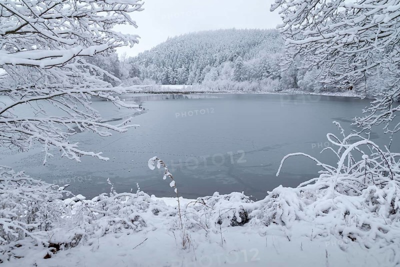 Germany, Greiz, Steinermühle, Thuringia, Thuringia, ice, landscape, snow, Steinermühlenteich, Vogtland, winter