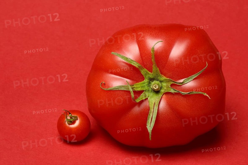 Beef tomato and cherry tomato against red background