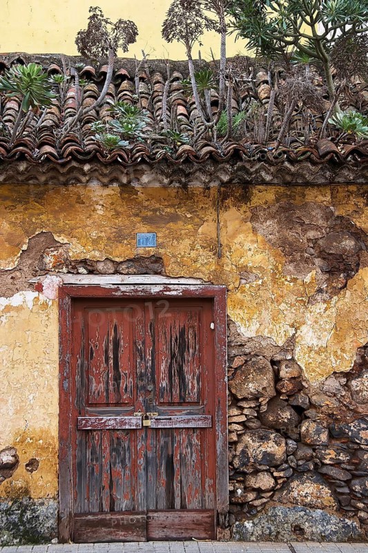 Historic building with dilapidated wall and rustic door, yellow paint and roof tiles with plants, UNESCO World Heritage Site, old town of San Cristobal de La Laguna, La Laguna, Tenerife, Canary Islands, Spain