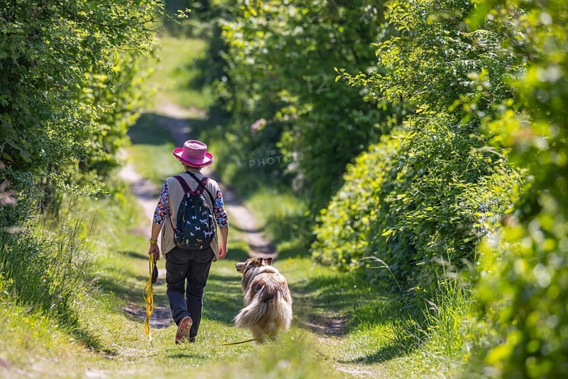 A woman with her dog wanders through the countryside of the Swabian Jura in spring. Neuffener Heide am Albtrauf. Neuffen, Baden-Württemberg, Germany