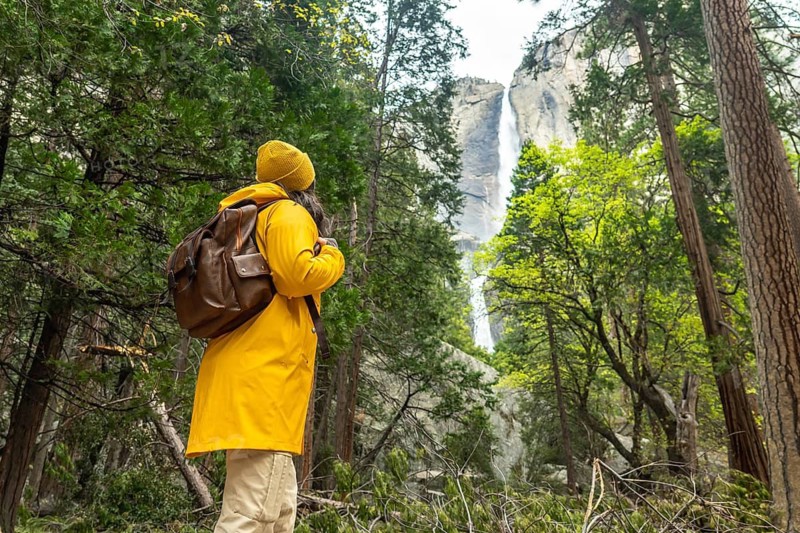 Hiker in a yellow jacket with backpack admires powerful lower yosemite falls and rushing stream amid lush green forest and towering trees during an outdoor adventure in yosemite national park