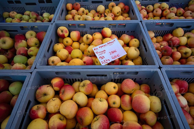 Range of different types of apples, Pinova, apples, apple boxes, price tags, fruit, food, weekly market market, market, Bad Cannstatt, Stuttgart, Baden-Württemberg, Germany