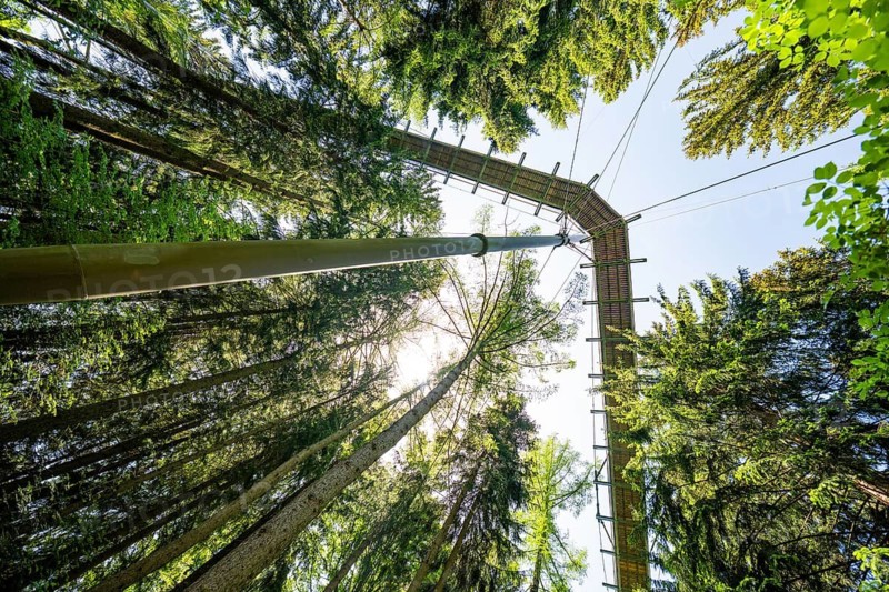 View from below of a treetop path that runs through the trees, Waldwelt Skywalk Allgäu, Scheidegg, Allgäu, Germany