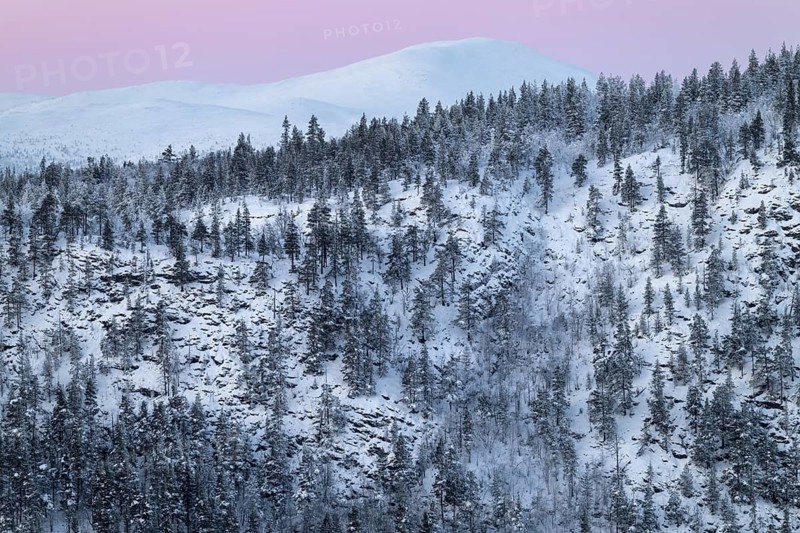 Snowy mountain ranges, Alvdal Vestfjell, Hedmark, Innlandet, Norway, January 2026