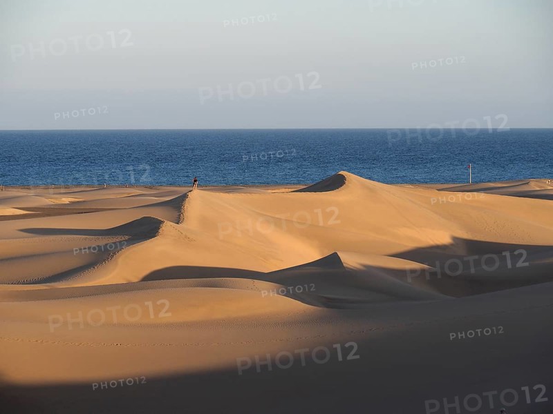 Dunes in the soft light of the setting sun with sea views, Maspalomas Dunes, Gran Canaria, Spain