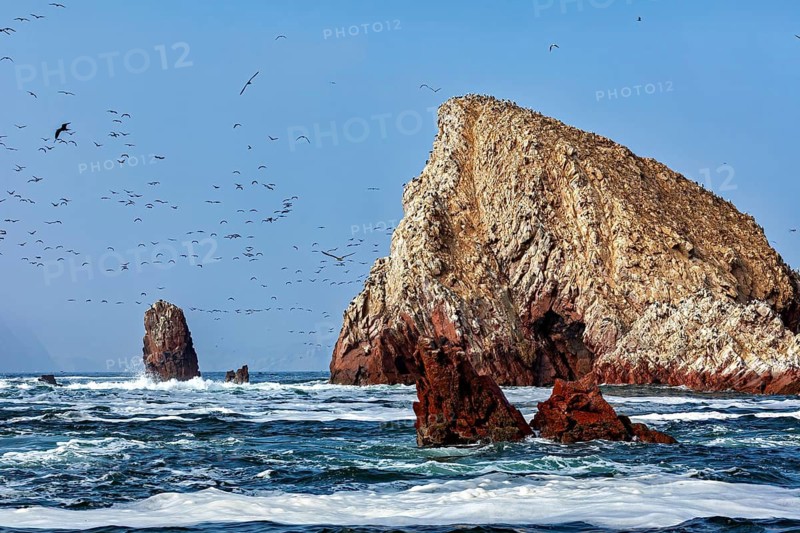 Large, rocky island in the middle of the sea with lots of birds under a clear sky, The rocky coast of the Ballestas Islands near Paracas in Peru