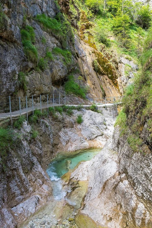 Hiking trail through the Almbach Gorge near Ettenberg, Berchtesgadener Land, Bavaria, Germany