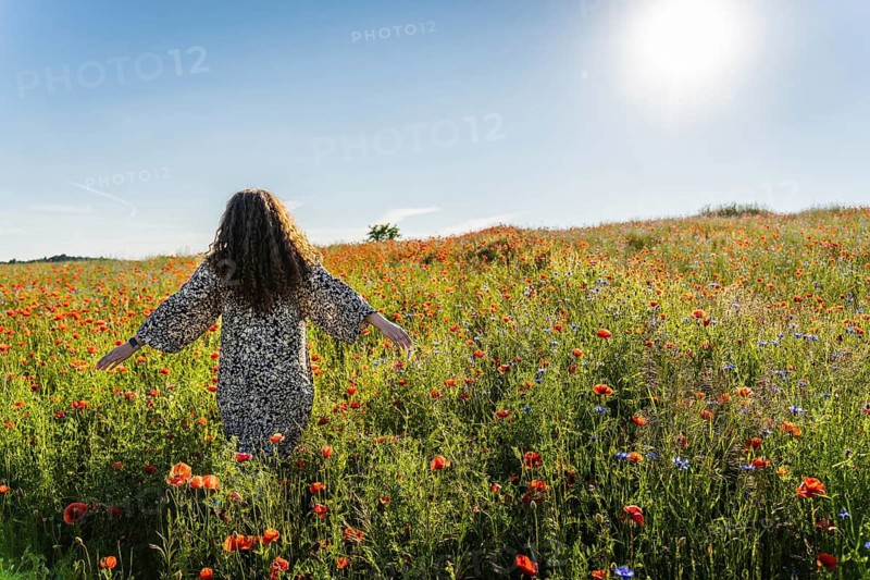 A curly long-haired plus size woman stands on a summer day among a poppy (Papaver rhoeas) field with her arms spread to the sides