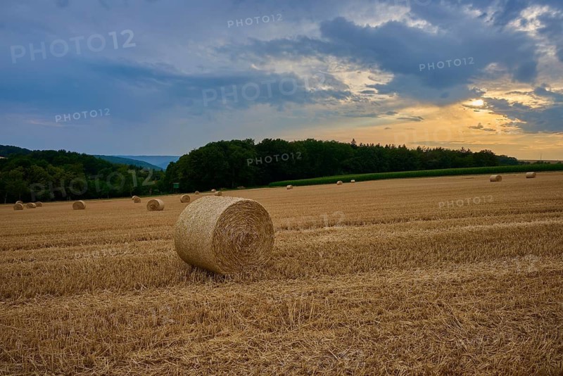 Straw bales in a field at sunset under partly cloudy sky, summer, Reichartshausen, Amorbach, Odenwald, Bavaria, Germany